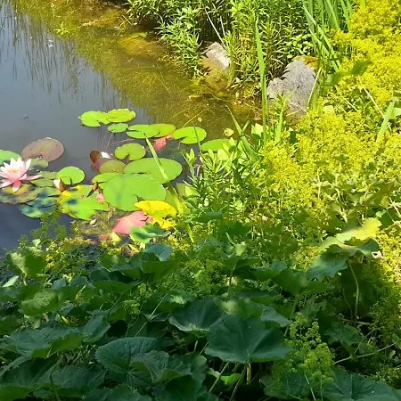 Gartenwohnung Mandl Garten Sauna Hot Pot Pool 公寓