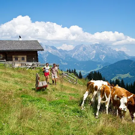 Gartenwohnung Mandl Garten Sauna Hot Pot Pool *